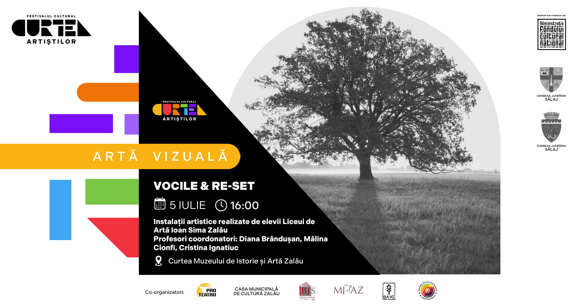 VERNISAJ: VOCILE & RE-SET